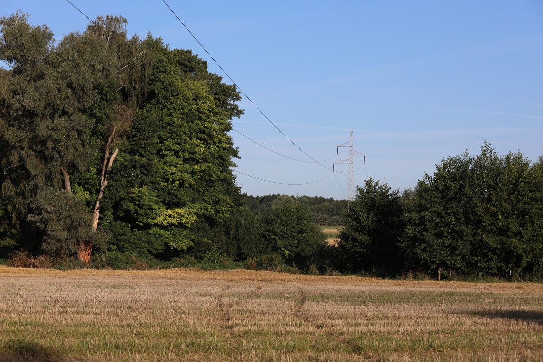 To na te linię trakcyjne wleciał pilot policyjnego Black Hawk'a/Fot. RM 